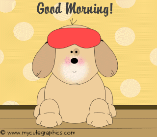 Good Morning Puppy