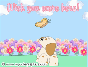 Wish You Were Here Puppy